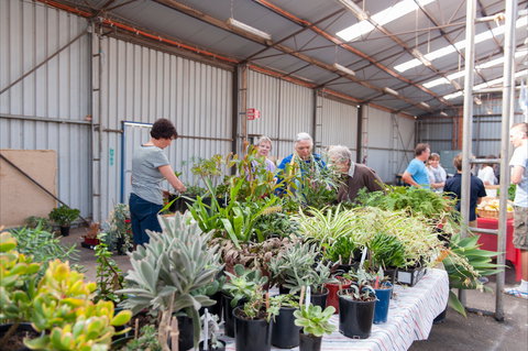 Good Shepherd May Market - Accommodation Broome 2