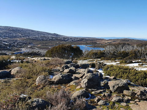 Hedonistic Hiking's Razorback To Harrietville - Accommodation Broome 1