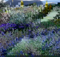 Highfield Gardens - Accommodation Broome