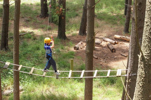 July 2020 Holidays- Go Wild At The Mt Lofty Adventure Hub - Accommodation Broome 0