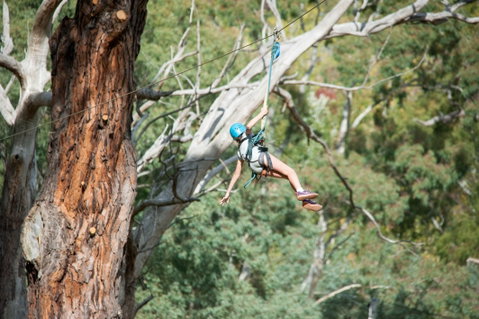 July 2020 Holidays- Go Wild At The Mt Lofty Adventure Hub - Accommodation Broome 1