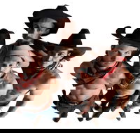 RAILED by Head First Acrobats - Accommodation Broome