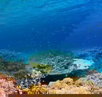 Recovery of the Great Barrier Reef - Accommodation Broome
