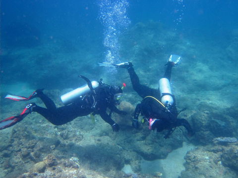 Recovery Of The Great Barrier Reef - Accommodation Broome 1