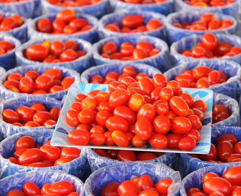 The Entrance Market - Accommodation Broome 2