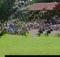 Tumut Boxing Day Races - Accommodation Broome