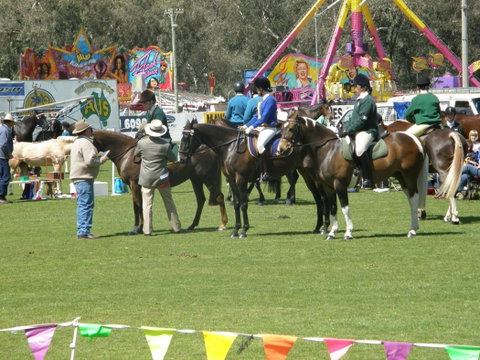 Wangaratta Show - Accommodation Broome 0