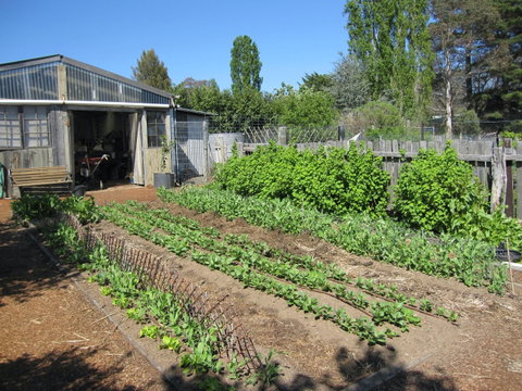 All Season Cold Climate Organic Vegetable Growing - Accommodation Broome 1