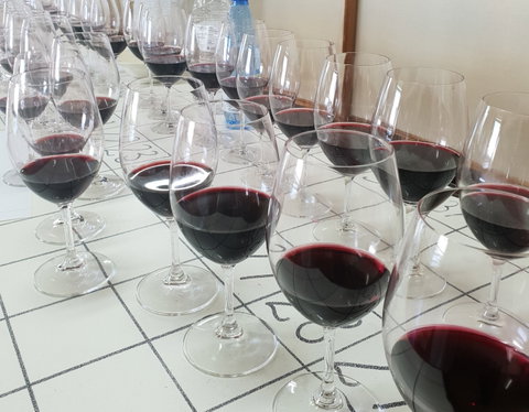 Australian Cool Climate Wine Show - Accommodation Broome 1