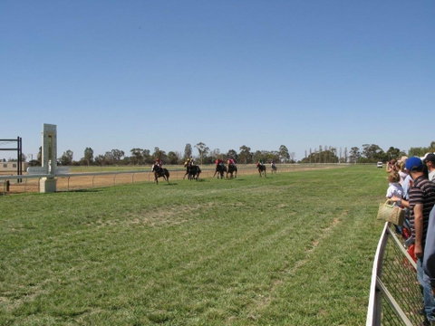 Balranald Races -Derby Day - Accommodation Broome 0