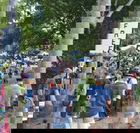 Bellingen Community Markets - Accommodation Broome