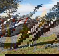 Birbbaree Show - Accommodation Broome