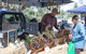 Coburg Farmers' Market - thumb 0