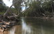 Conservation Volunteers Australia Townsville - Creekwatch - thumb 2