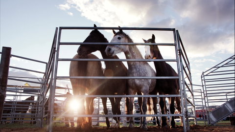 Cunnamulla Fella Festival 2020 - Accommodation Broome 1
