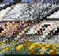 Daffodils at Rydal - Accommodation Broome