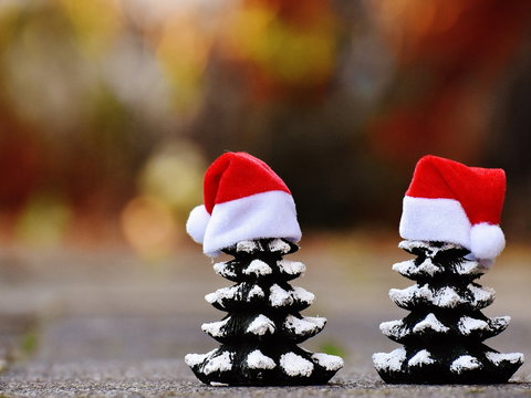 Glenmore Park Christmas Market - Accommodation Broome 0