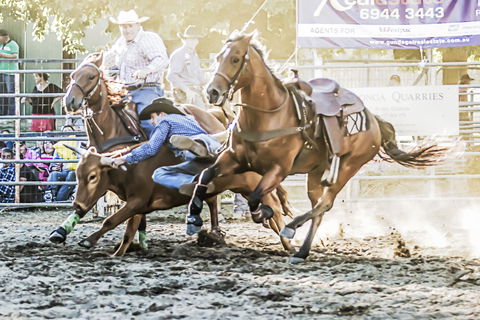 Gundagai Rodeo - Accommodation Broome 0