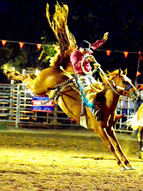 Gundagai Rodeo - Accommodation Broome 1