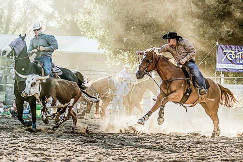 Gundagai Rodeo - Accommodation Broome 2