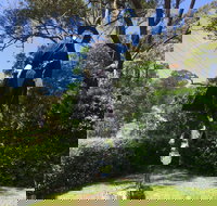 Guy Fawkes Night - Accommodation Broome