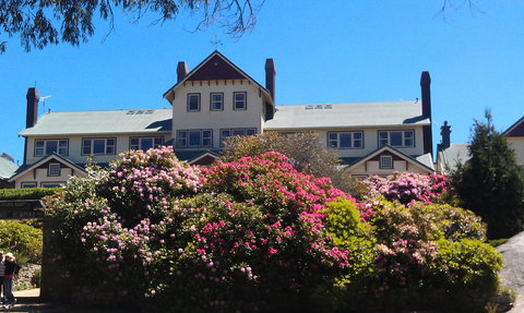 Hedonistic Hiking's Mount Buffalo Hike And Picnic - Accommodation Broome 1