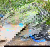 Jungle Love Festival