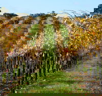 Miners Ridge Wine Tasting - Accommodation Broome