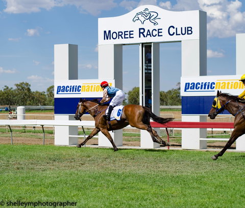 Moree Race Club TAB Race Day - Accommodation Broome 0
