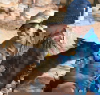 Mums and Cubs And Dads too - Accommodation Broome