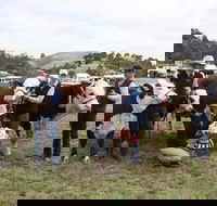 Noorat Show - Accommodation Broome