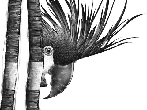 Open Studio's Highlands - Darren Gilbert - Accommodation Broome 2