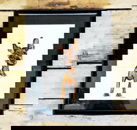 Pen  Ink Illustration Workshop - Accommodation Broome