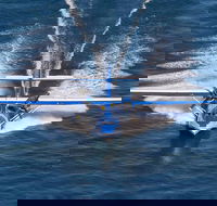 Rathmines Catalina Festival