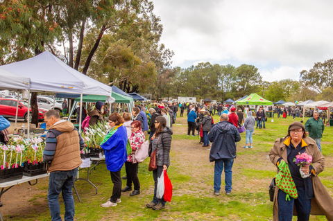 Spring Fling - Accommodation Broome 1