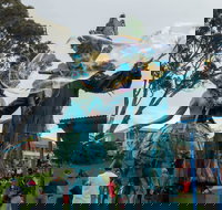 Tulip Festival Wynyard - Accommodation Broome