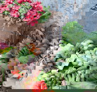 Ma Ma Creek Markets - Accommodation Broome