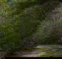 Yering Gorge Cottages - Accommodation Broome