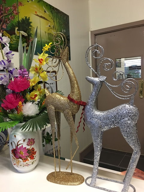 Statesman Motor InnÂ  - Accommodation Broome 5