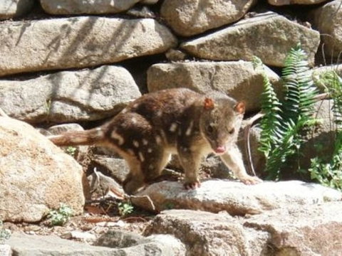 Jenolan Caves House - Accommodation Broome 0