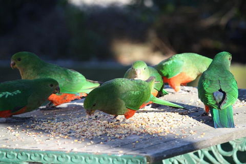 Omeo Motel - Accommodation Broome 4