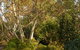 The Linden Bed & Breakfast - thumb 4