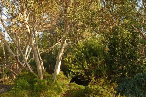 The Linden Bed & Breakfast - Accommodation Broome 4