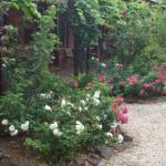 Maldons Eaglehawk Motel - Accommodation Broome 0