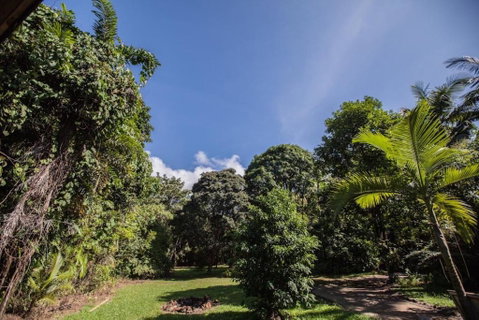 Cape Tribulation Holiday House - Accommodation Broome 2