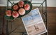 Cape Tribulation Holiday House - thumb 1