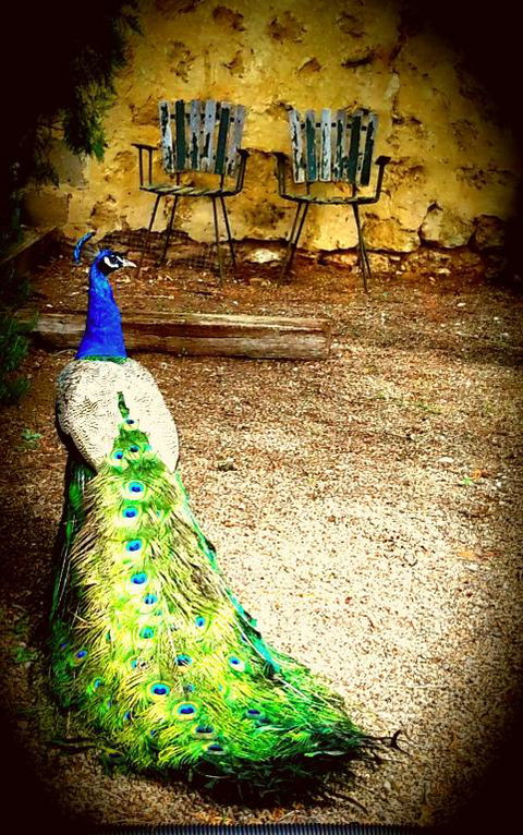 A La Folly - Accommodation Broome 4