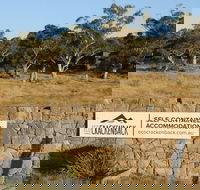 Ecocrackenback 16 'Sustainable chalet close to the slopes.' - Accommodation Broome