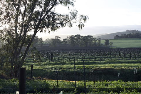 Jasmine's Cottage - Accommodation Broome 0