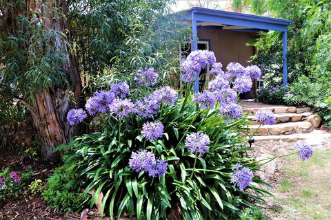 A Stanthorpe Getaway - Accommodation Broome 4